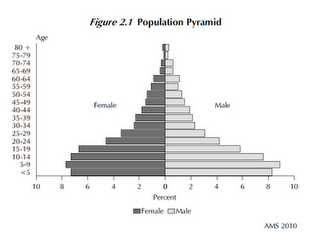 Click to view full size