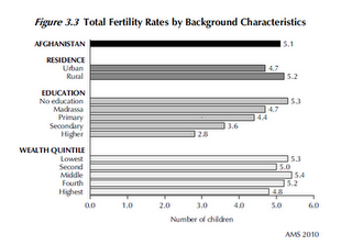 Click to view full size