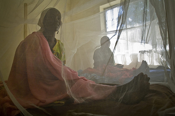 Darfur refugees