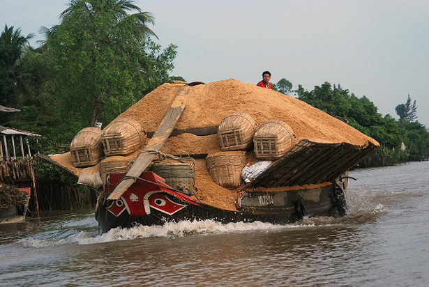 Rice husks on the Mekong River, Vietnam