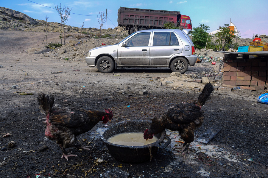 Click to view full size Wuhai City Blackened Chicken