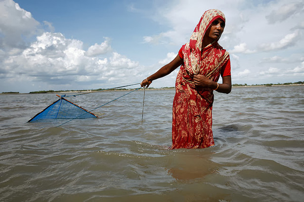 Bangladesh Aquaculture
