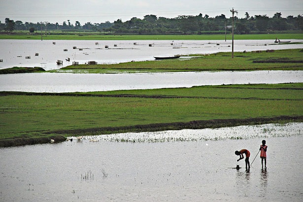 Huq Interview Rice Flood