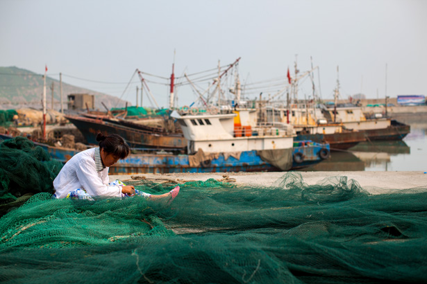 fishing-for-answers