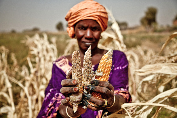 Sahel_drought