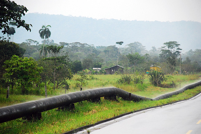 Amazon-oil-pipe