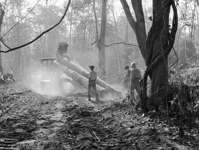 burma_logging