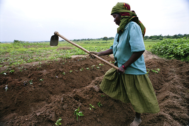famine_feminism