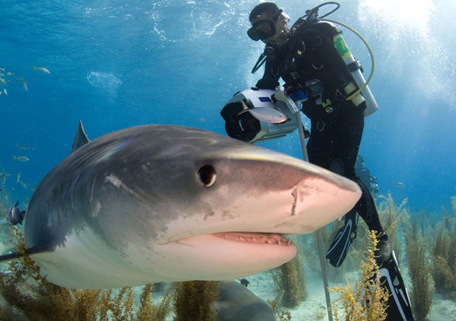 scuba_science