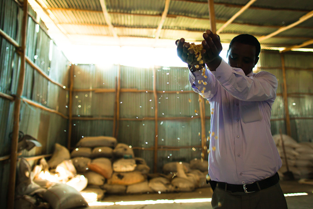 food-innovation-in-Africa