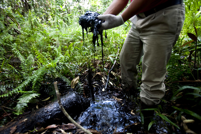 amazon_oil