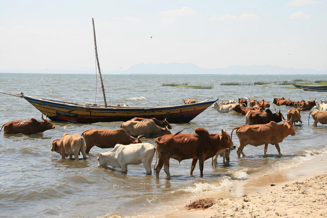 lake_victoria