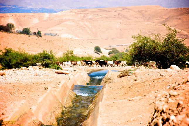 Kidron-Valley