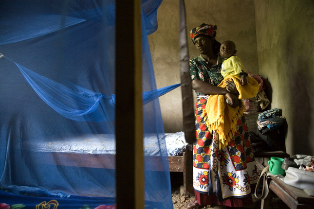 mosquito_net