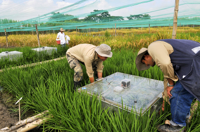 CIAT_Colombia