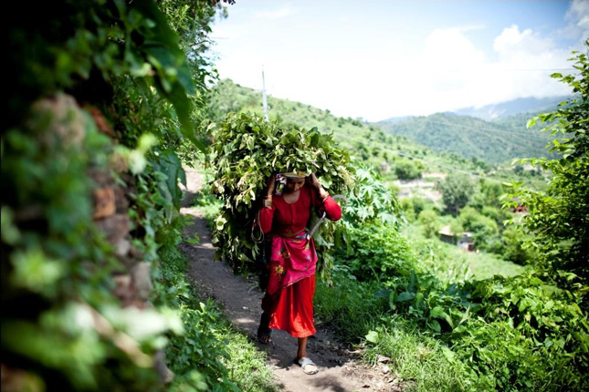 Nepal-woman