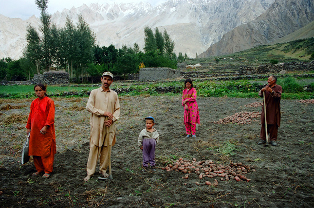 Pakistan-field