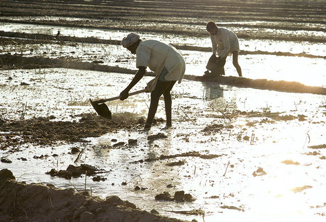 India-water-farming