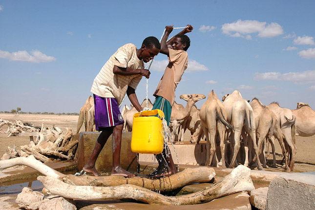 pastoralists