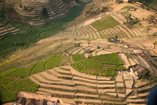 Rwanda terrace