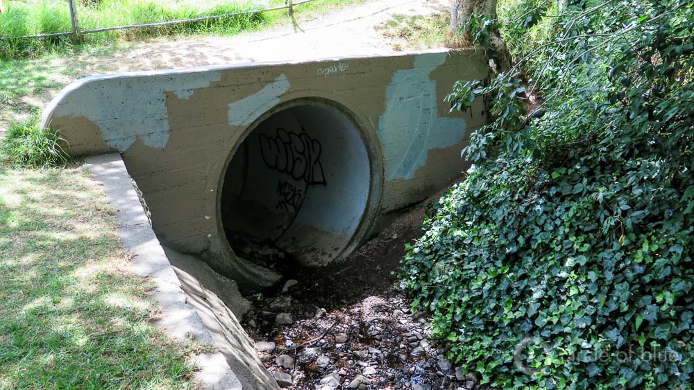 Click to view full size Sausal Creek