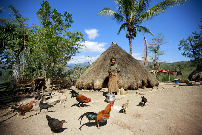 timor-leste