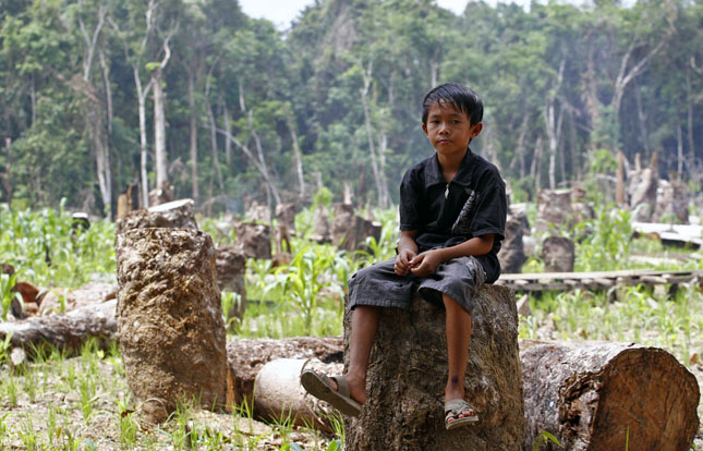 kalimantan