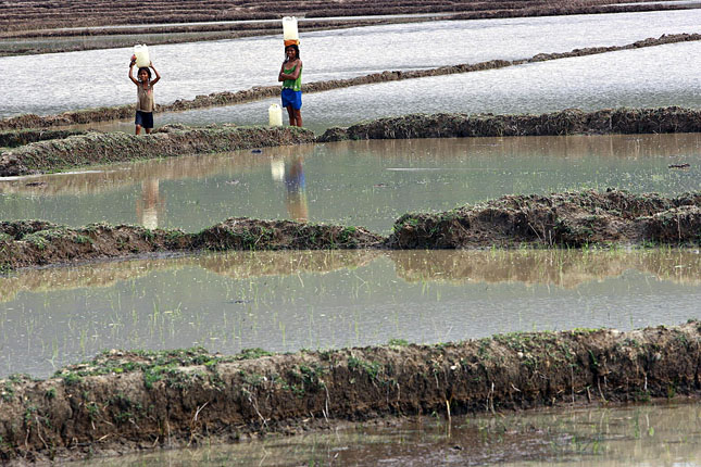 Little Girls Carry Water Containers