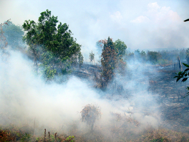 Indonesia-fires