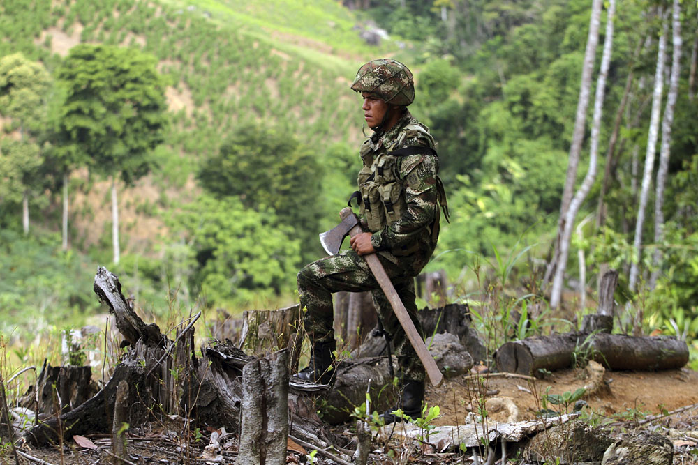 Click to view full size A soldier of the Seventh Division of the Colombian National Army looks on during an operation to eradicate coca crops at a plantation in Yali
