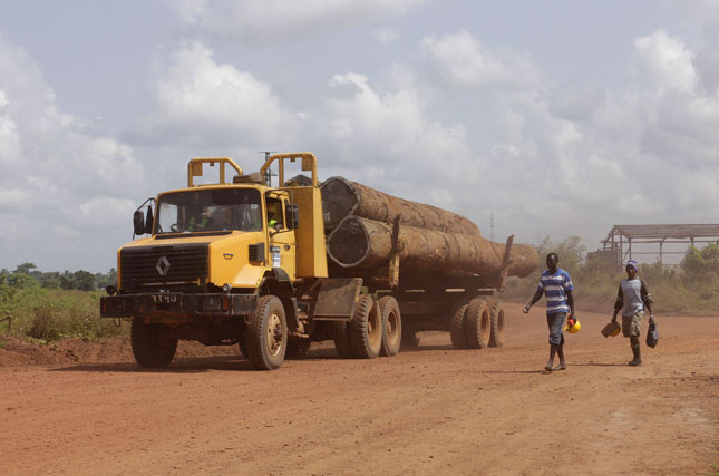liberia timber1
