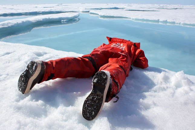 ICESCAPE