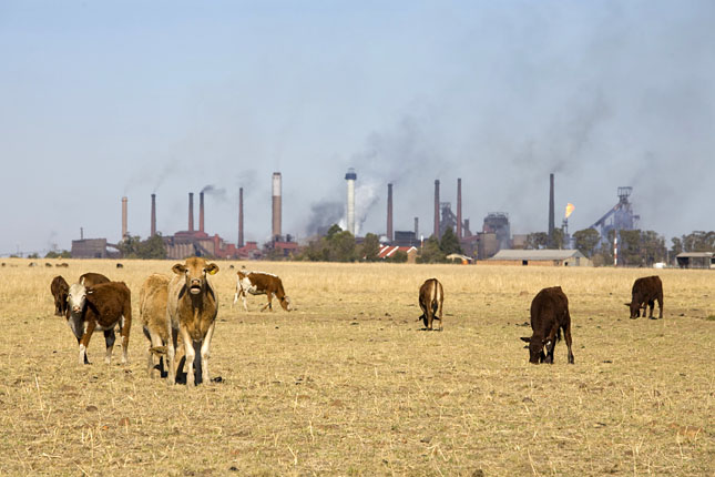 Iron and Steel giant ISKOR's Vanderbijl Park refinery. Farm land bordering the industrial area.