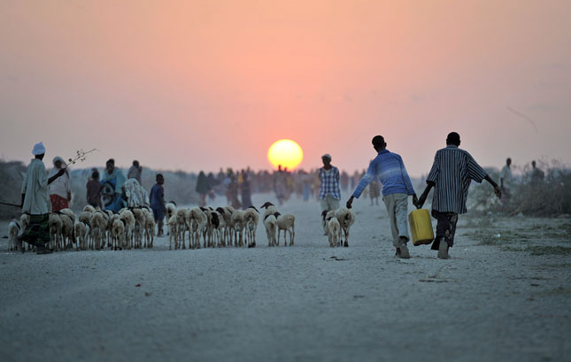 Somalia IDP