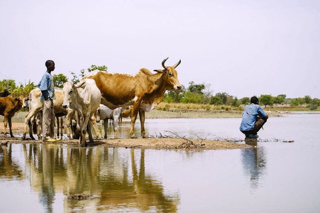 Burkina-Faso