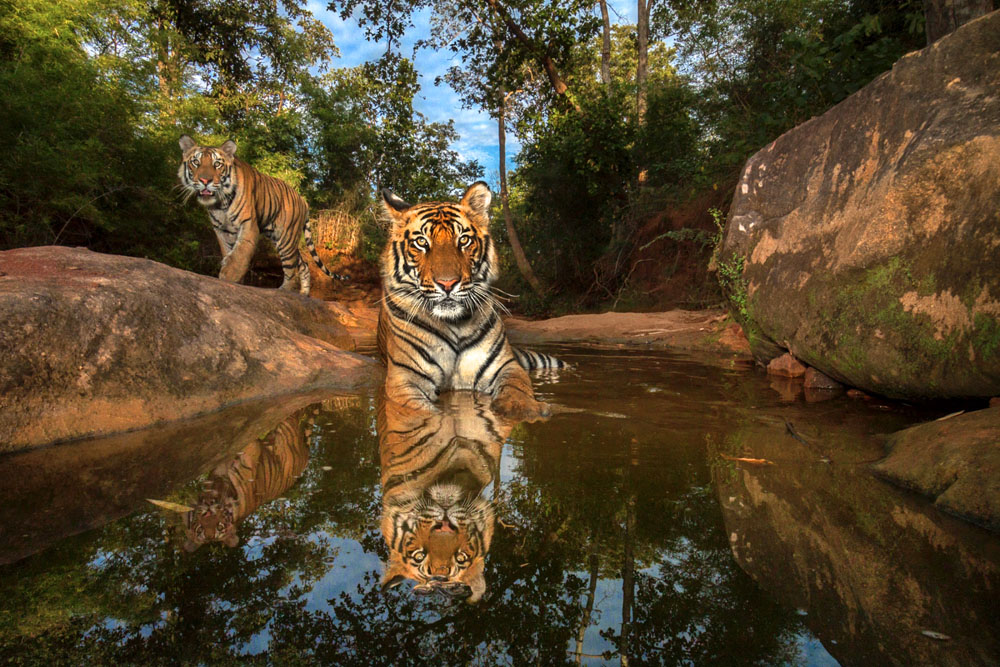 Click to view full size