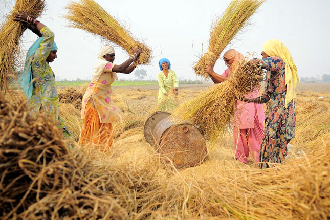 Punjab