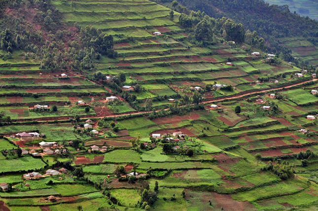 Uganda_landscape3_lo