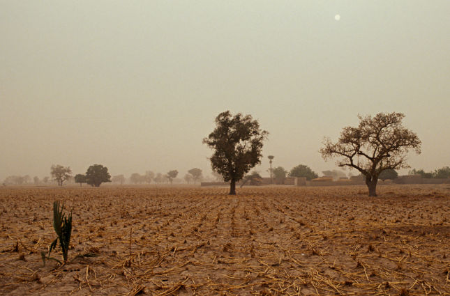 Mali2