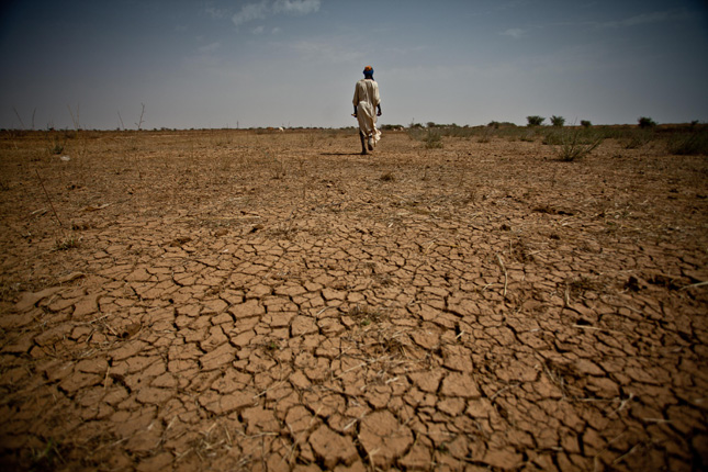 Drought-Field
