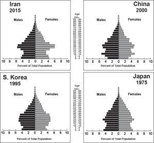 Iran Demographic Pyramid