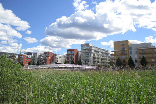 Urban-Wetland
