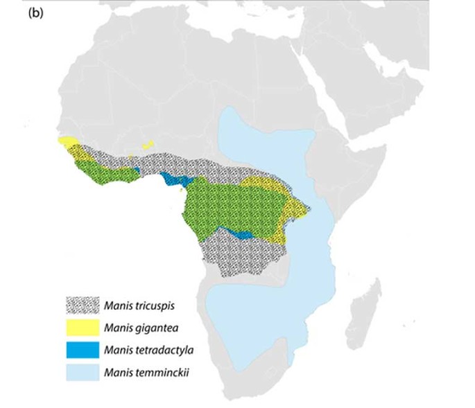 range Africa