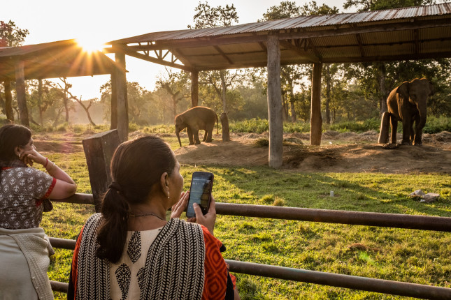 Chitwan National Park Elephant Breeding Center