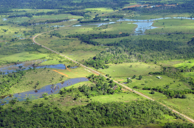 Amazon Deforestation