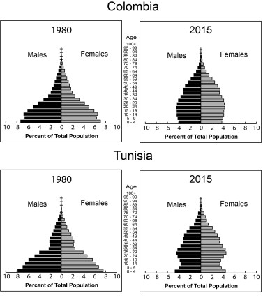 Click to view full size Fig1_Col-Tun-80-15