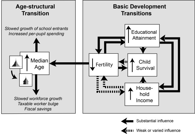 Click to view full size Fig3_Development-b