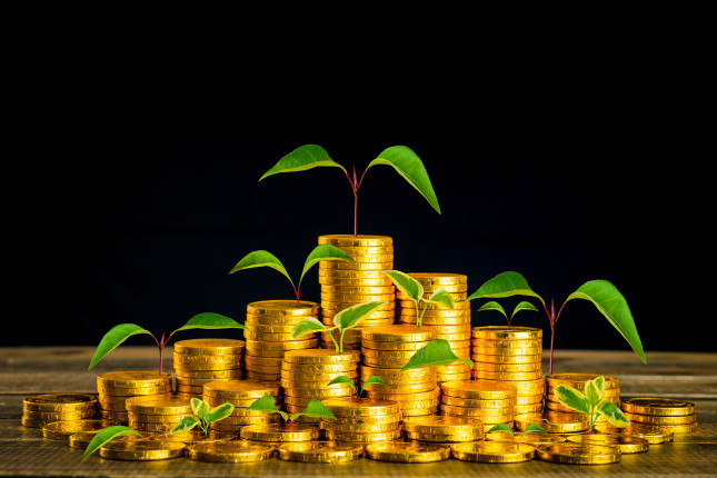 CEF green bonds