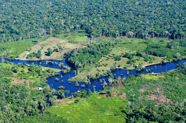 Amazon Rainforest