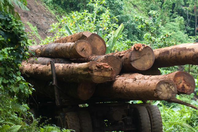 Logging  Truck